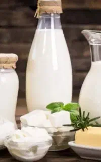 لبنیات سفارشات پذیرفته می‌شود