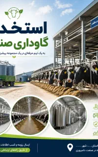 کارگر برای کار در گاوداری صنعتی