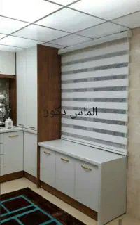 زبرا