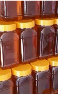 عسل طبیعی مستقیم از زنبور دار