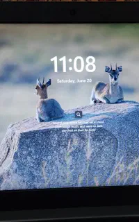 LENOVO 81DE