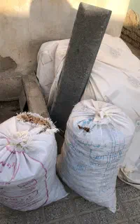نون خشک