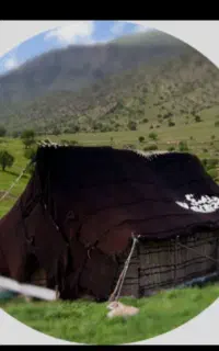 سیاه چادر