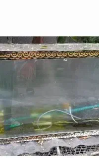 آکواریوم