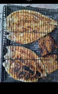 فروش ماهی قزل آلا ب صورت خرده و عمده