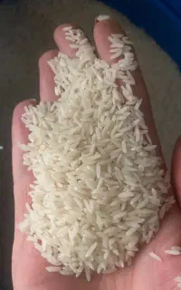 برنج شمال (خالص)