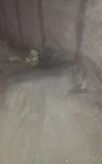 ماسه