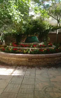 خدمات باغبانی و درختکاری و تعویض خاک گلدان درتهران
