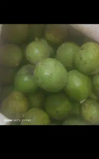 گردو تازه