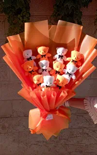 عروسک سالیوان، دسته گل های جاودان تدی فانتزی،