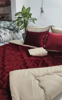 روتختی مخمل