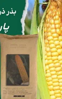 نیازمند منشی با روابط عمومی قوی