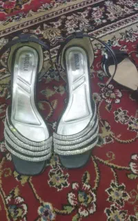دوتا کفش مجلسی
