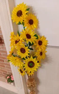 گل ربانی