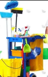 شرکت خدمات نظافت پرستاری اسباب کشی اسپادانا