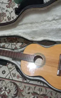 گیتار Model L102