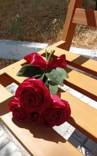 بخرین دعام کن ۱۰۰ تومن با تزئین
