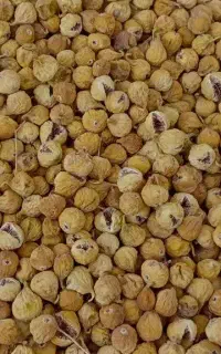 پخش انجیر تازه و مرغوب
