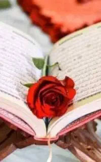 2عانویس قران مجید