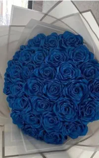 بهترین هدیه برای هر مناسبت