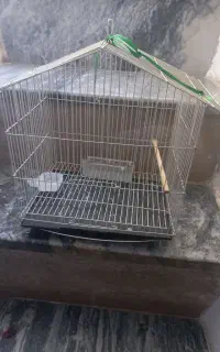 قفس