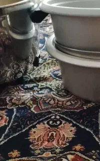 پلوپز و زودپز