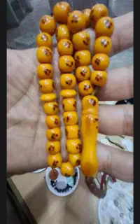 کهنه آلمان به شدت بودار سندلوس