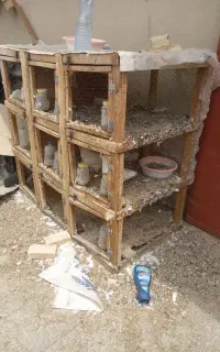 قفس جفت دونی
