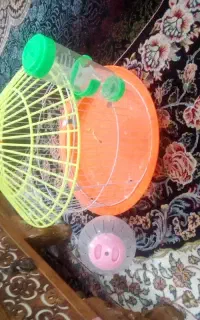 قفس و آب خوری همستر و توپ همستر