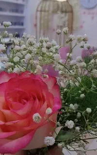 خدمات سالن زیبایی
