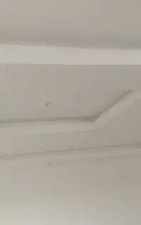 اوستا گچ کار