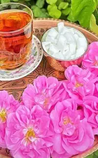 *تور لحظه اخری کاشان زیبا *