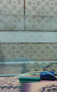 آکواریوم