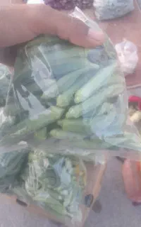 بامیه زابل