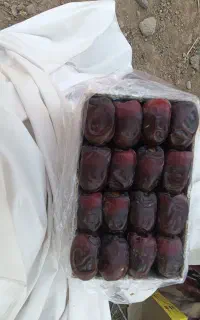 350تا مادر کارتون میانگین 7/300