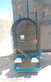 قفس کاسکویی مشکی نو