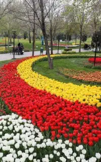 طراحی ، اجرا و نگهداری فضای سبز گلکاری نهال کاری