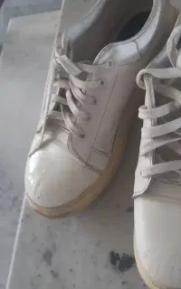 کفش کتونی