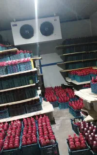 آب انار خالص و طبیعی