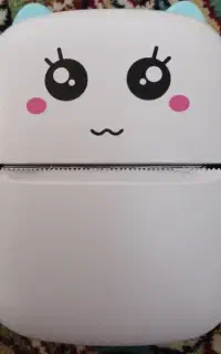 Mini Printer