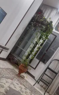 بوفه یک