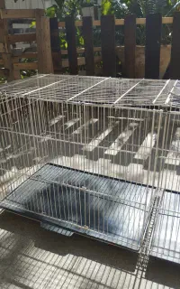 قفس پرنده