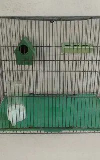 قفس پرنده