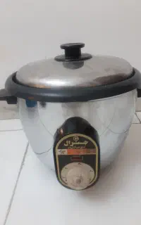 فروش پلو پزبرقی