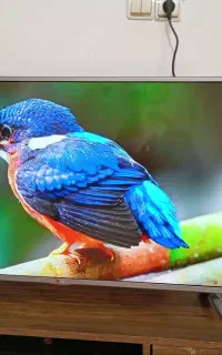 42اینچ ال جی اصل کره هوشمند اسمارت درحد آکبند