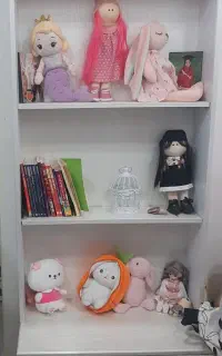 قفسه