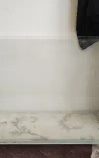 آکواریوم