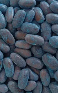 بذر لوبیا سبز