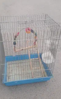 قفس