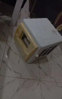 کولرابی در حد بدون ایراد